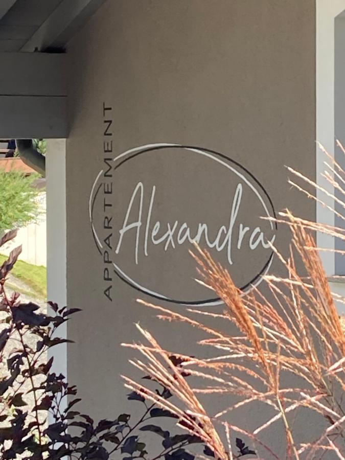 Neukirchen am Großvenediger Appartement Alexandra מראה חיצוני תמונה