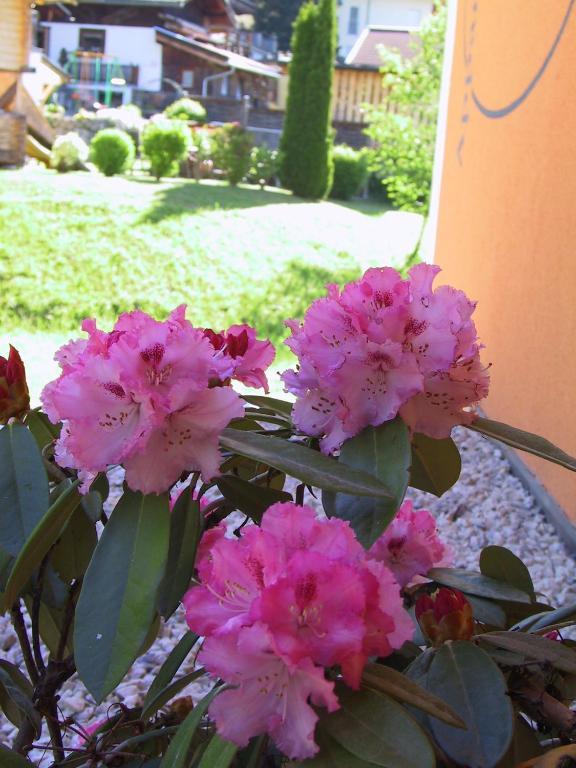 Neukirchen am Großvenediger Appartement Alexandra חדר תמונה